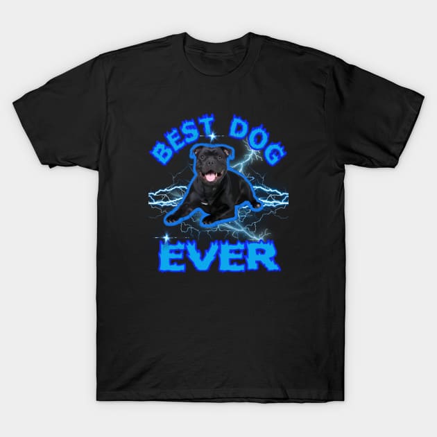 Best Dog Ever Staffordshire Bull Terrier Tee Design this design celebrates the loyal companionship T-Shirt by wisscreation